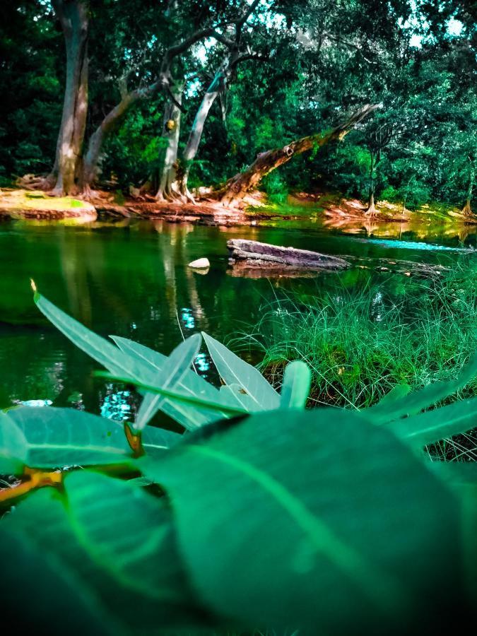 Lake Front Yala Safari Kataragama Exterior foto